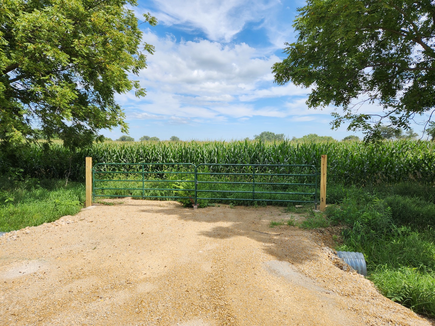 a view of a road with a yard