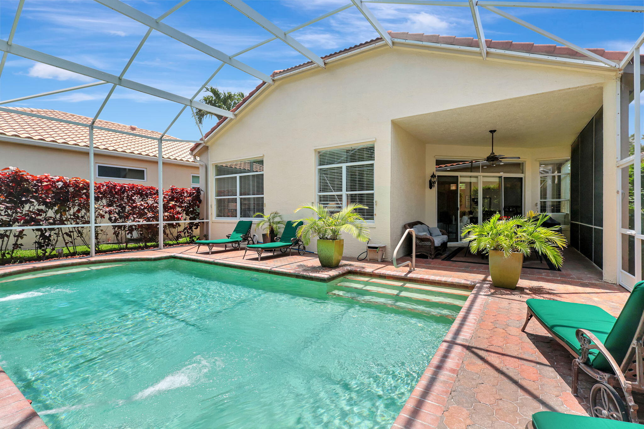 a view of a backyard with plants and a patio