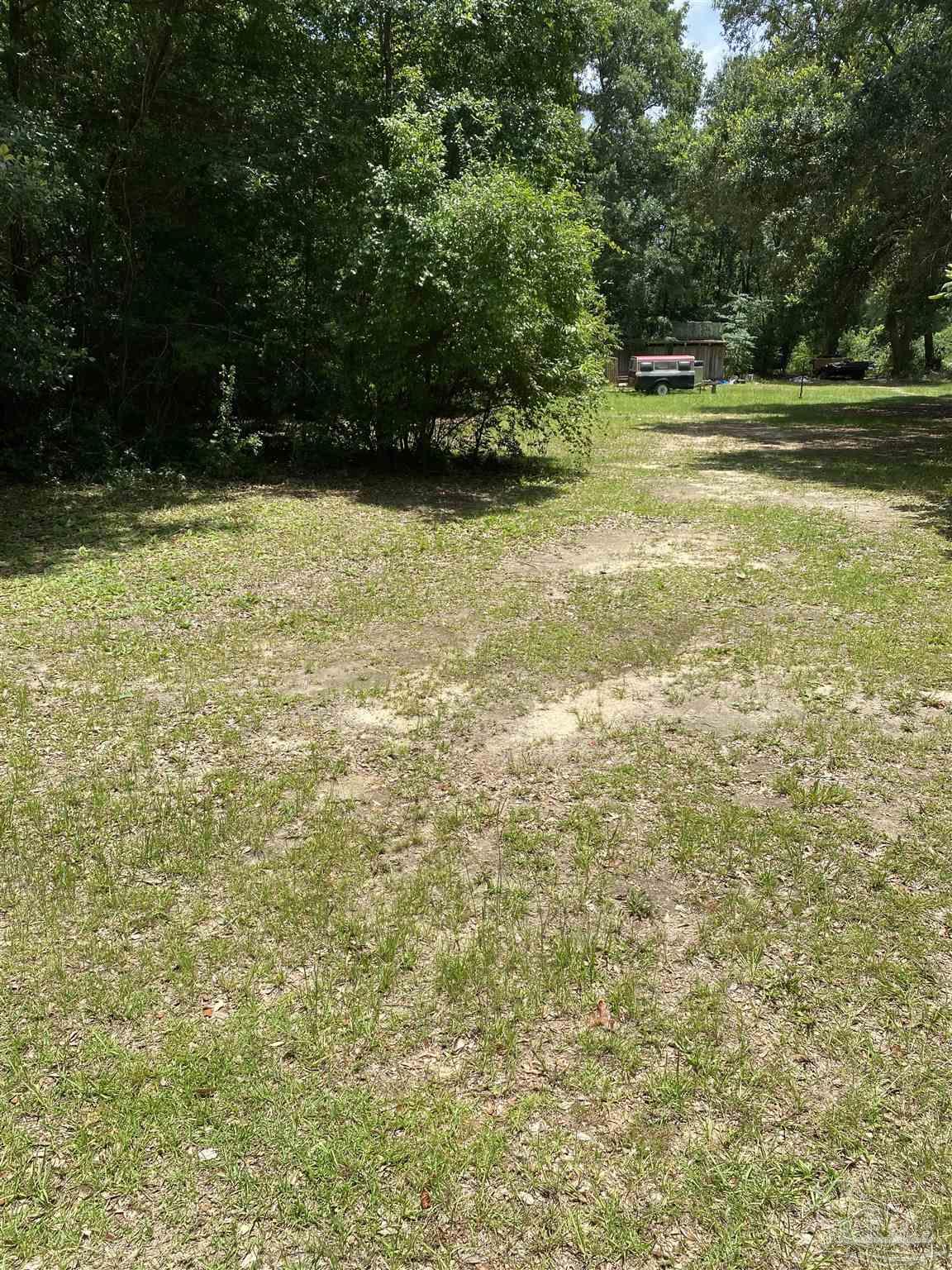 a view of a green yard with large trees