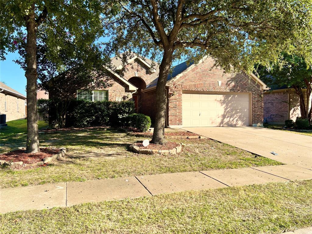 a view of a yard with plants and trees