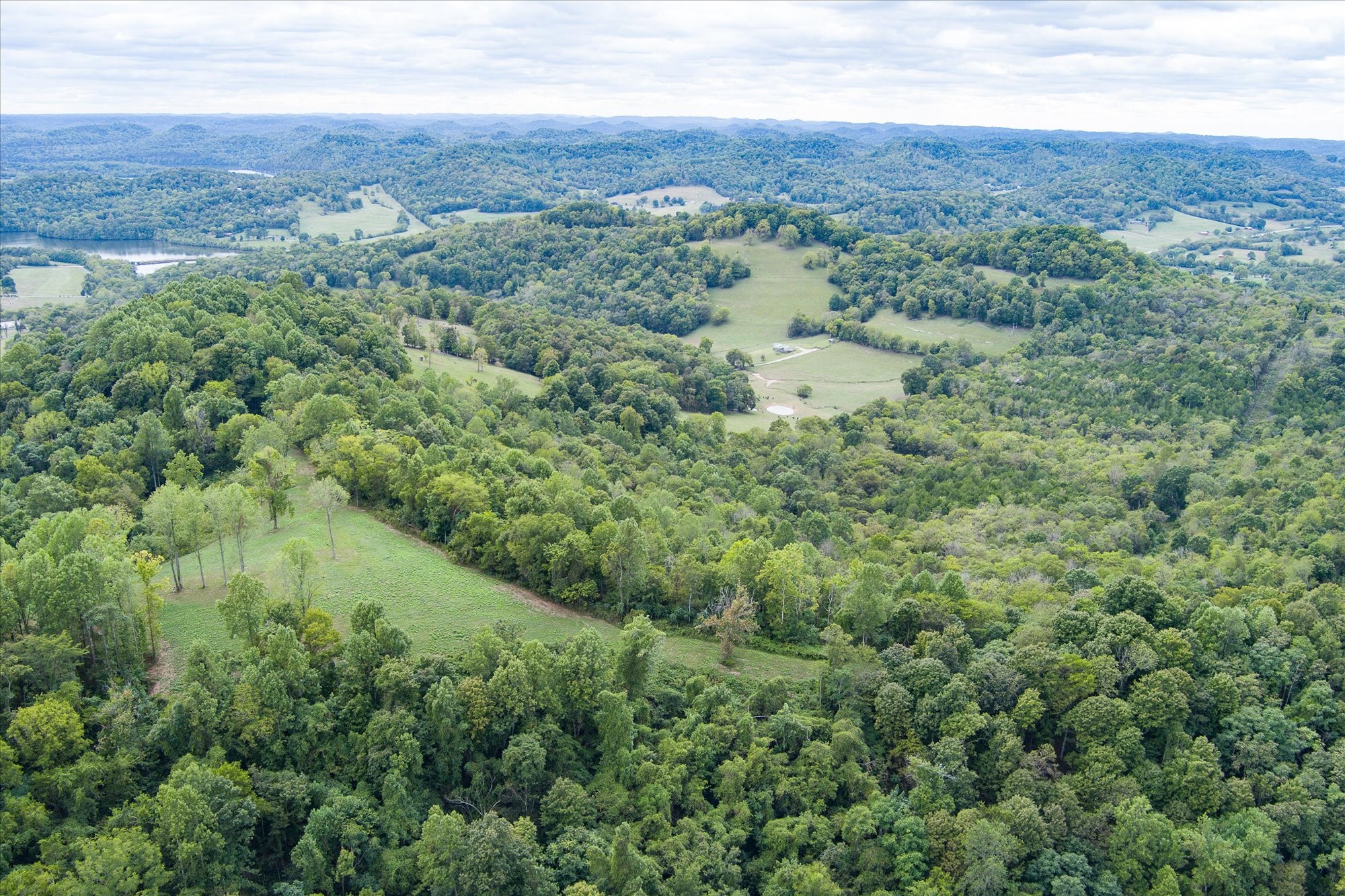 an aerial view of forest