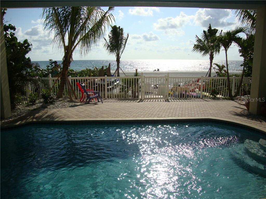 a view of a lake with a palm tree