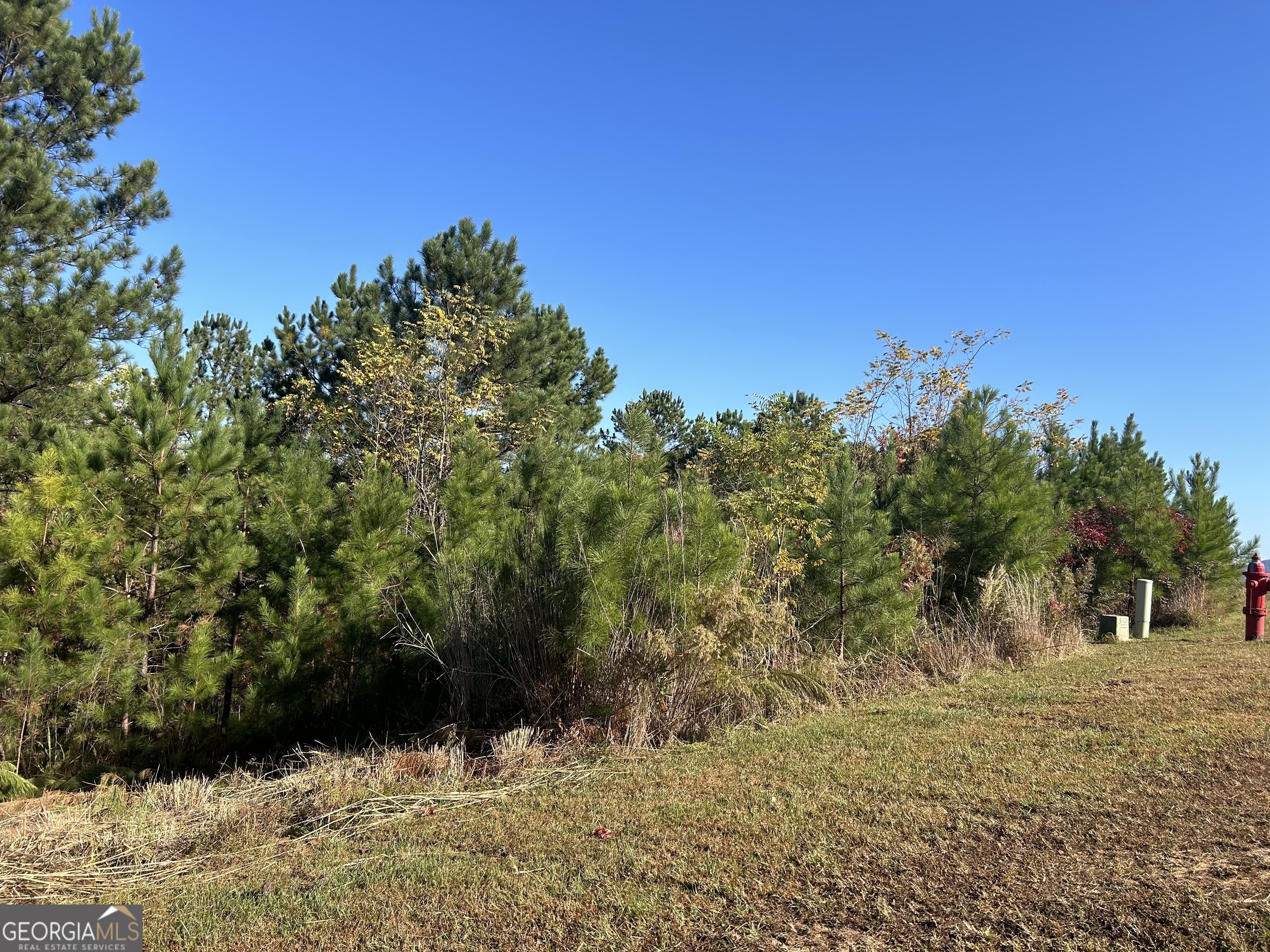 a view of a yard with a tree