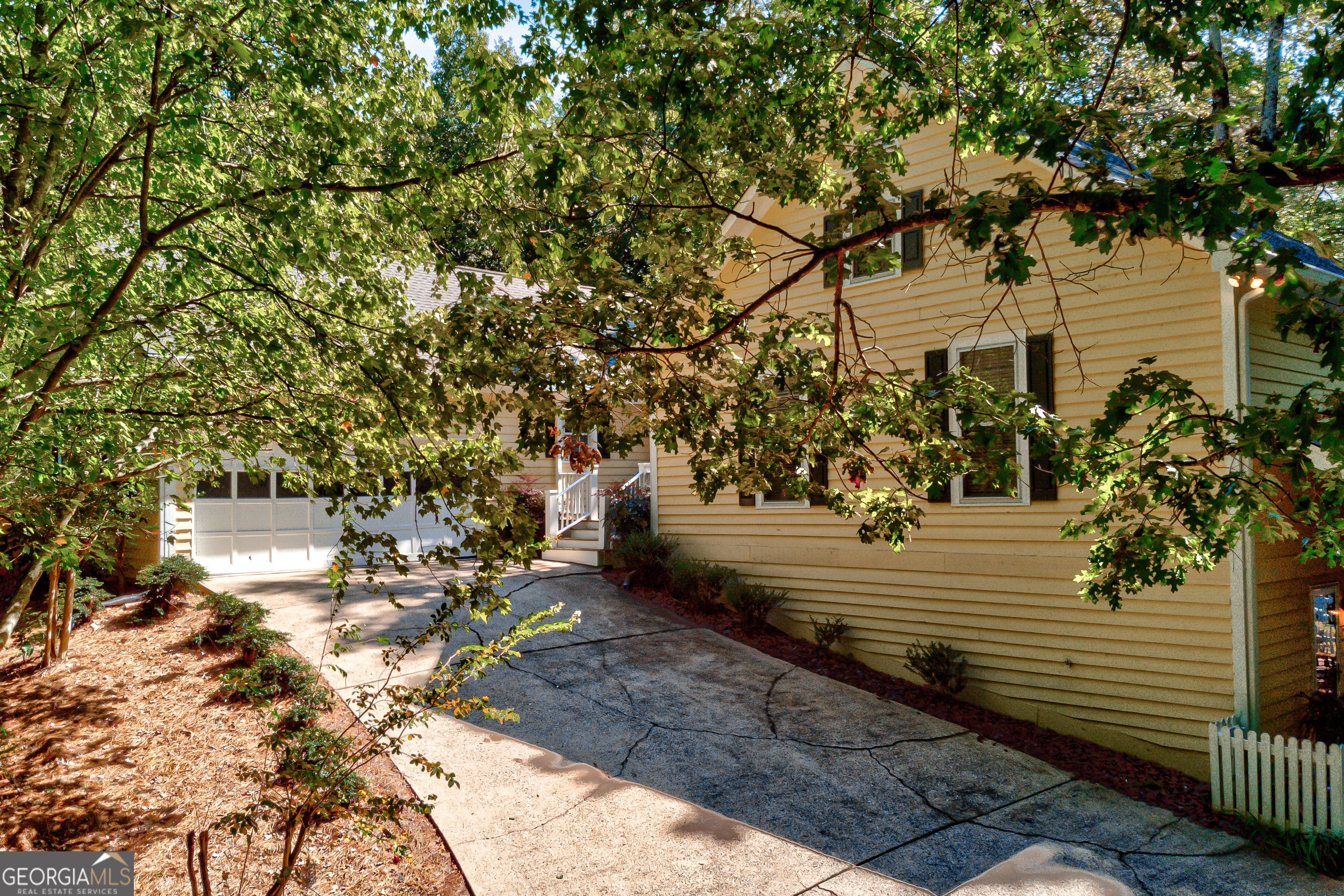 a view of a yard with plants and large trees