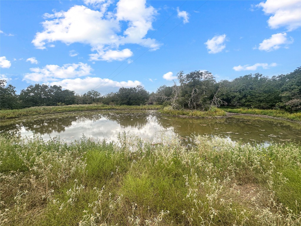 a view of a lake from a yard