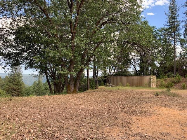 a view of backyard space