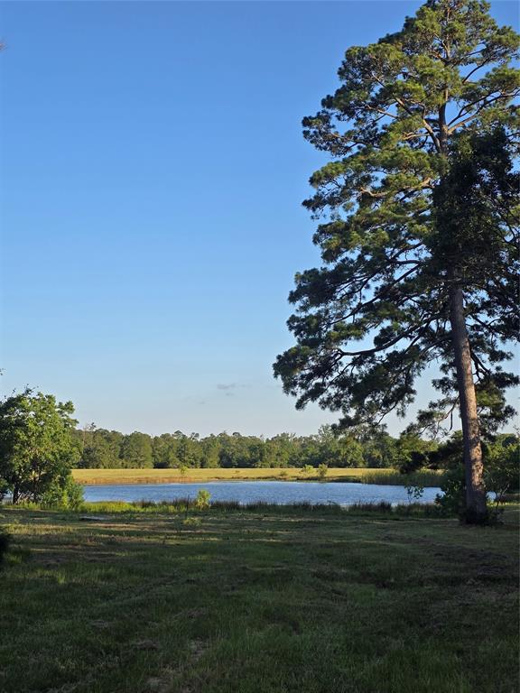 a view of a field with a lake