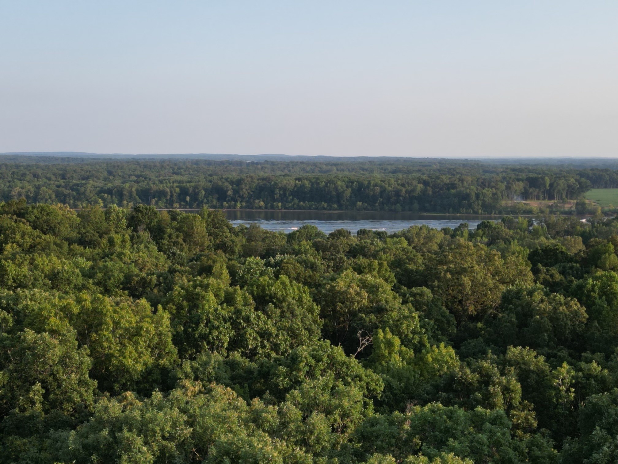 an aerial view of forest