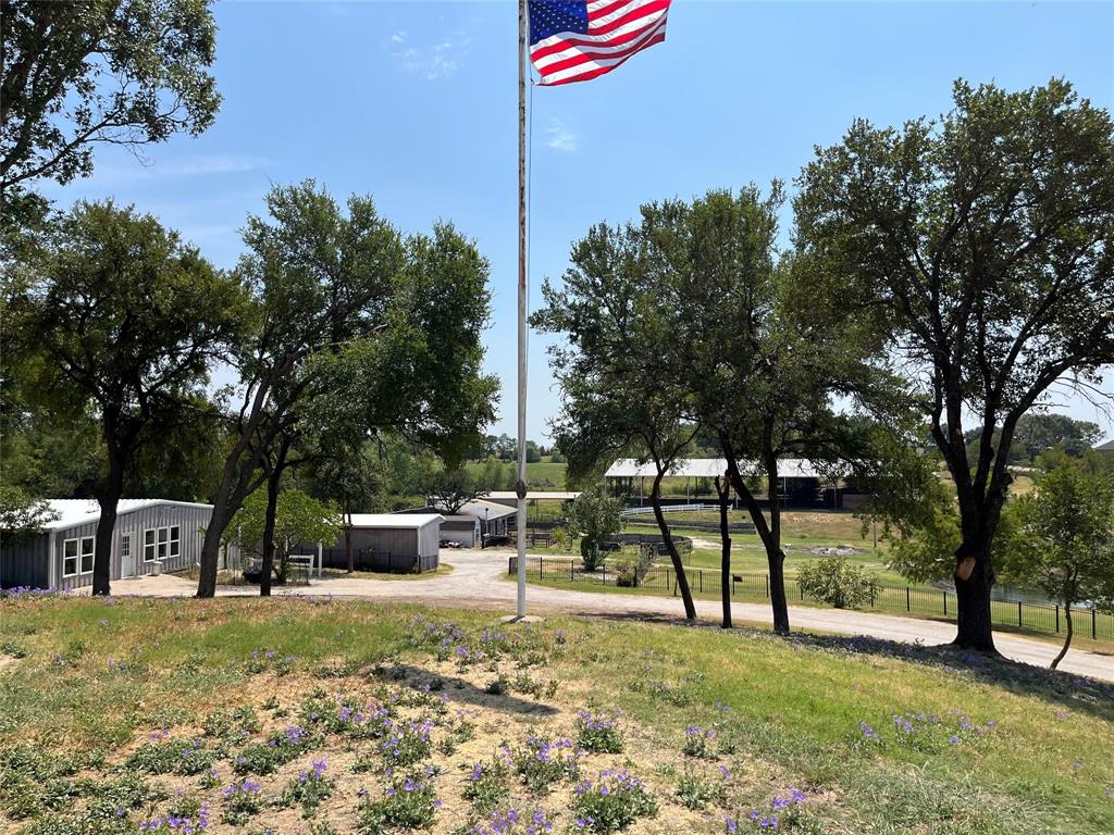 a view of a park with large trees