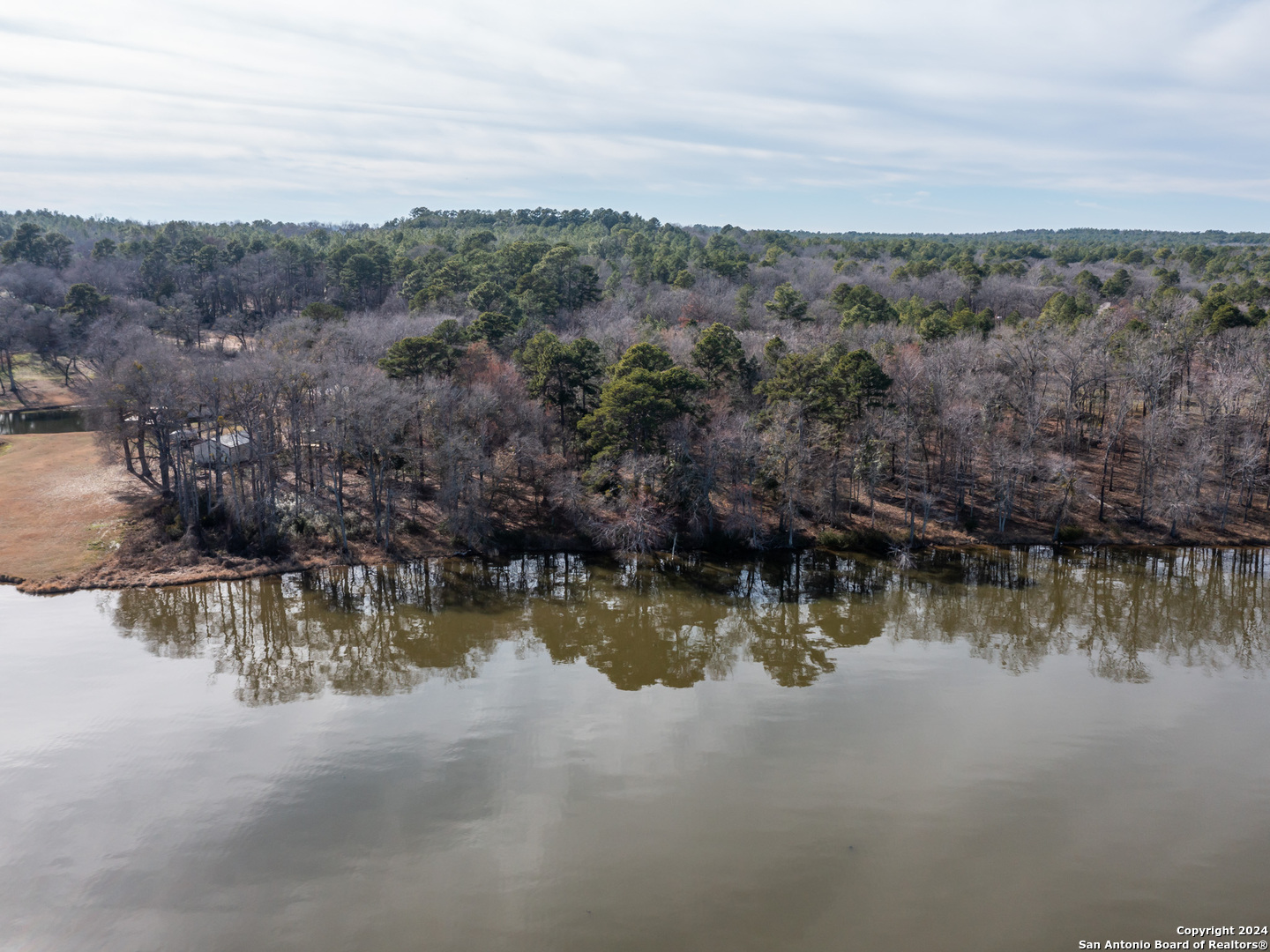 a view of a lake with trees in the background