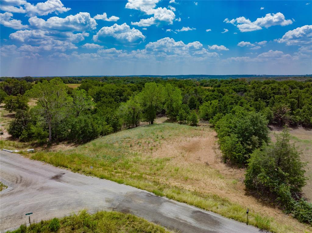 a view of a yard with an tree