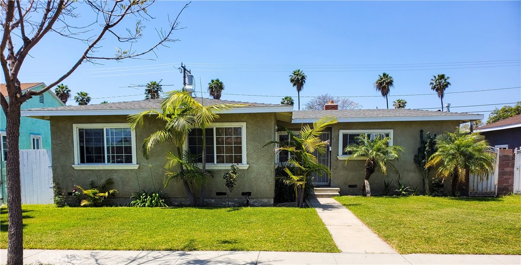 a view of a house with potted plants and a palm tree