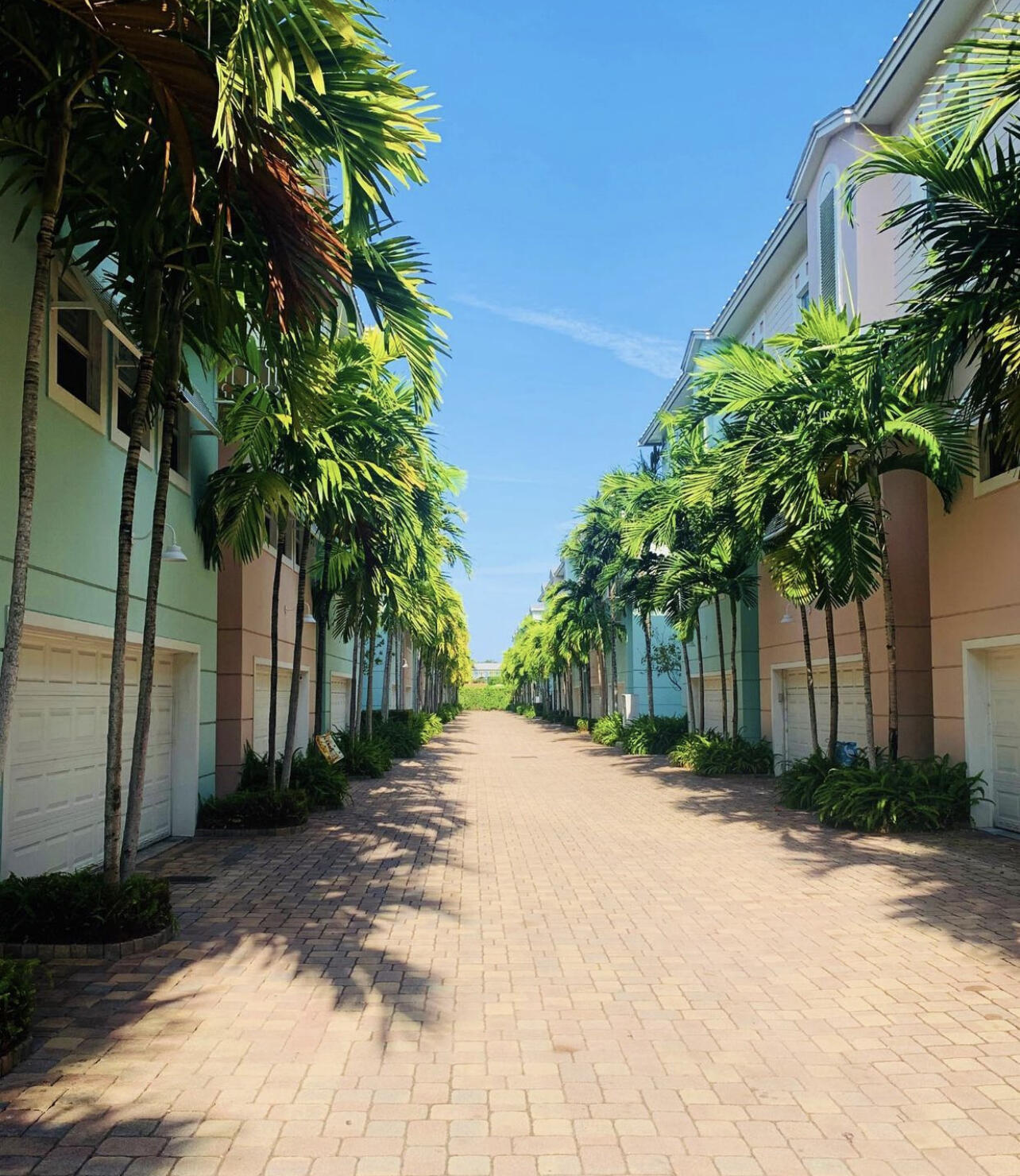 a view of a backyard of a house