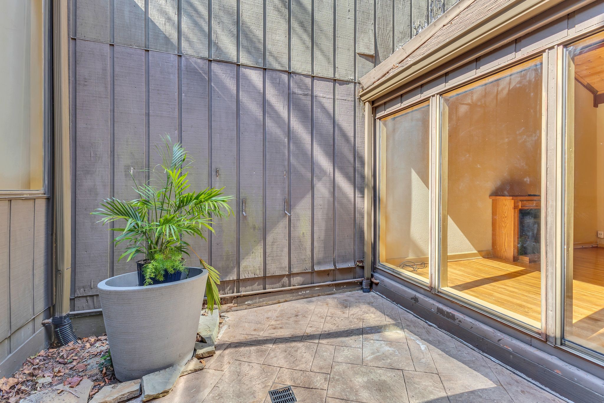 Sun-drenched atrium