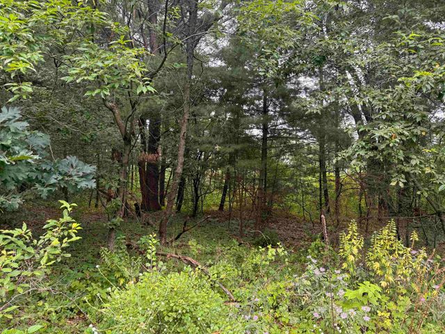 $35,000 | .46-ac 46-ac Busse Lake | Delton