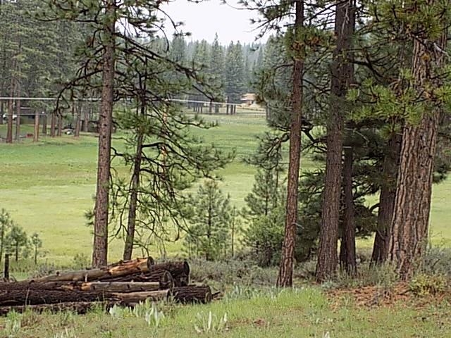 a view of lake