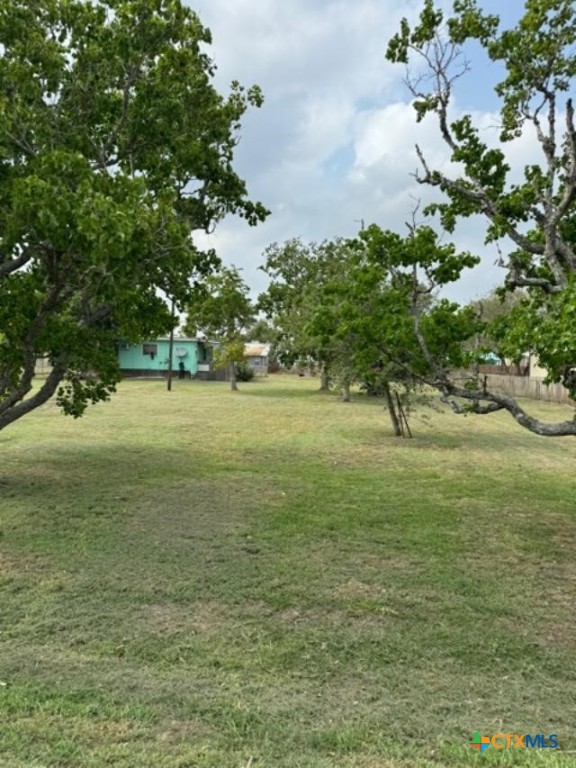 a view of a field with a tree