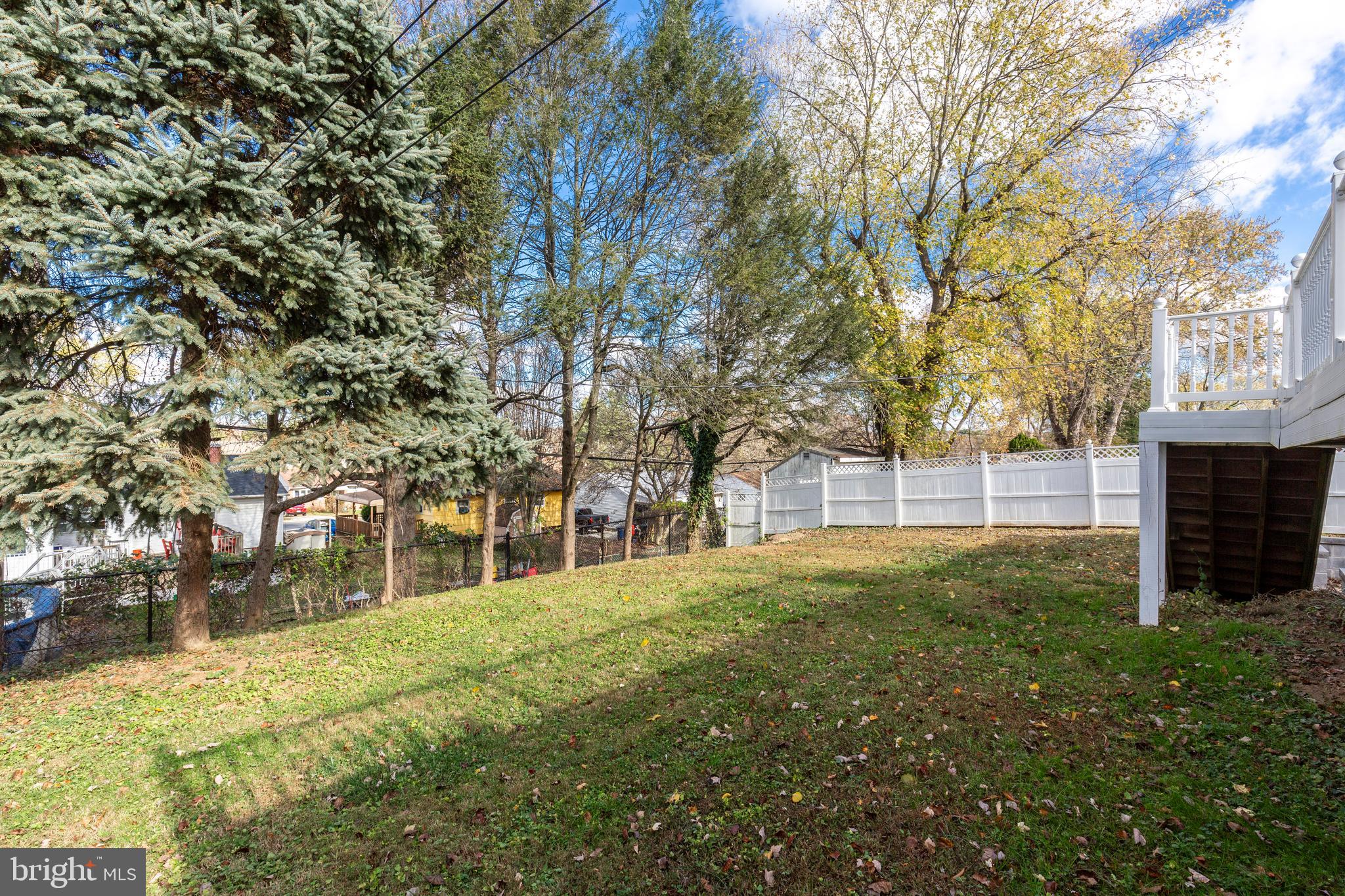 a view of a yard with plants and large trees