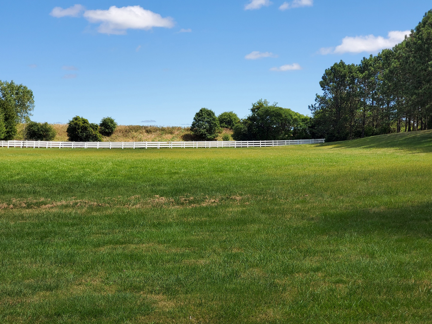 a view of a field of grass and trees