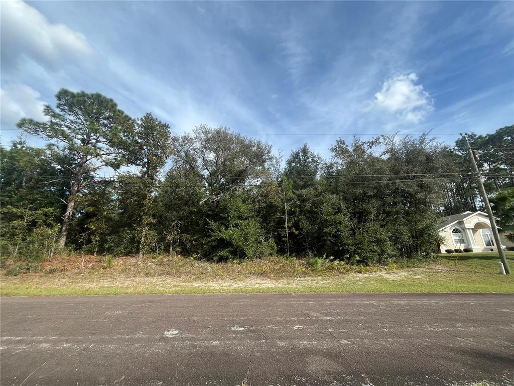 a view of a yard with a tree