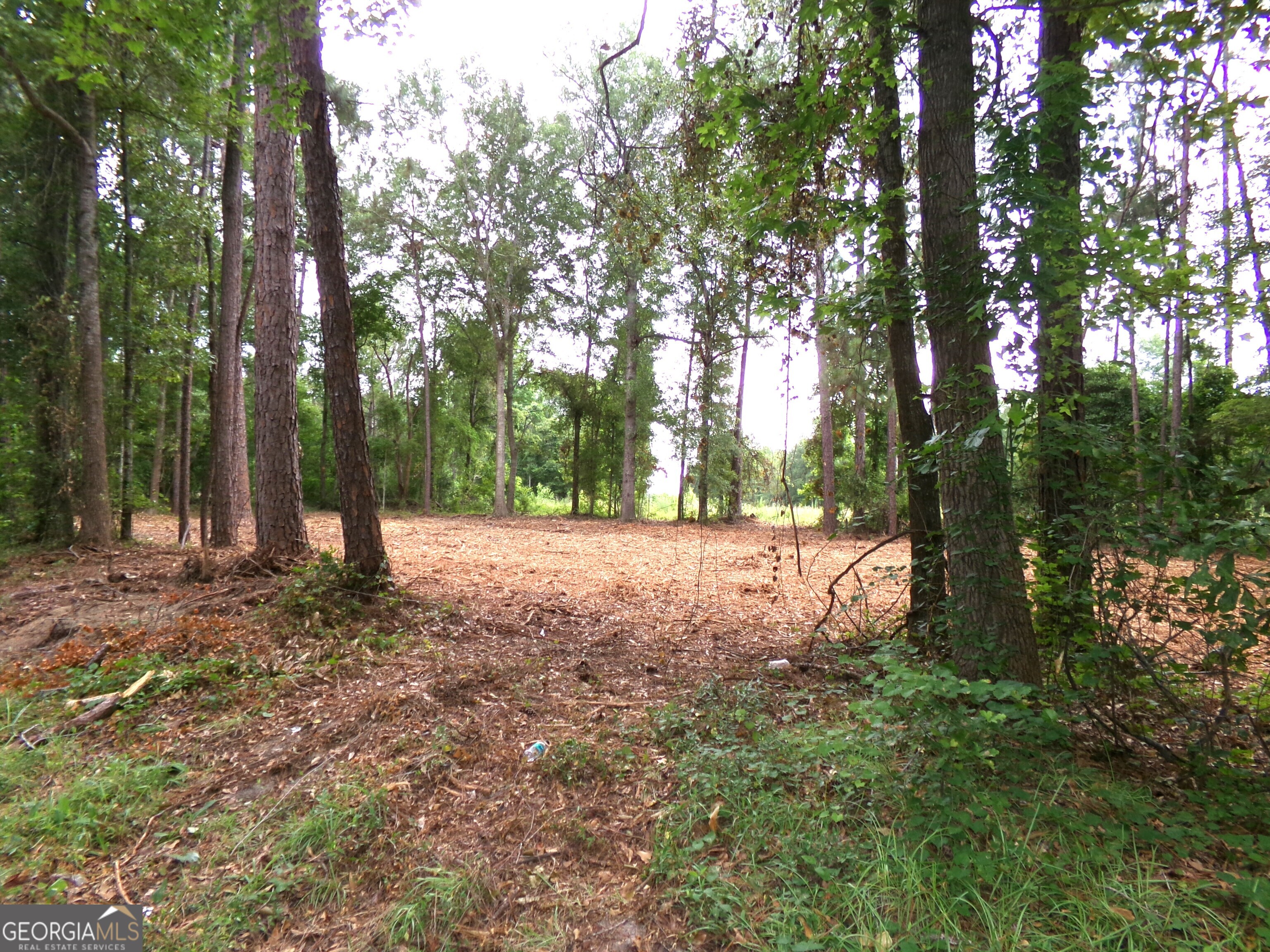 a view of outdoor space and trees