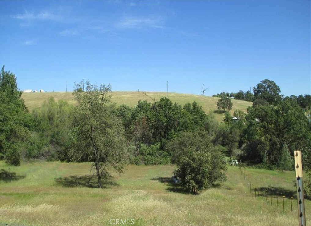 a view of a field with a tree