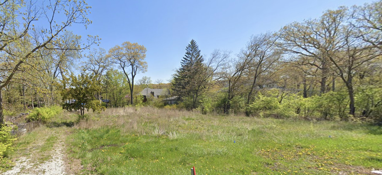 a view of a lush green space