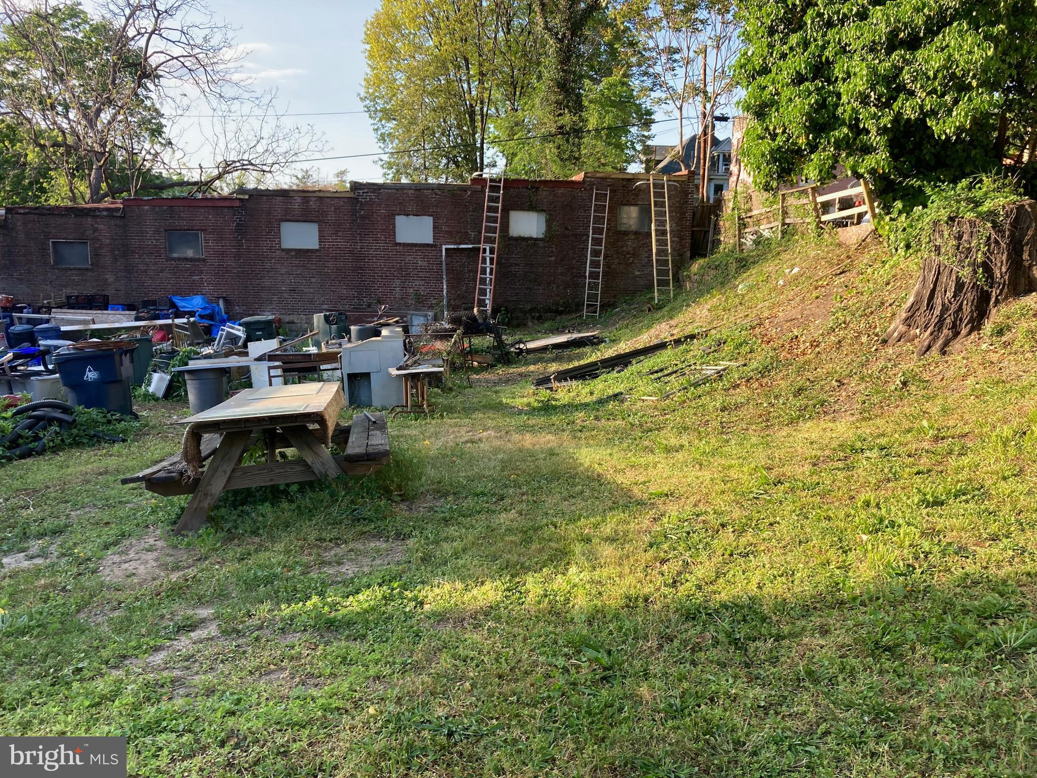 a view of backyard with wooden fence and a large tree