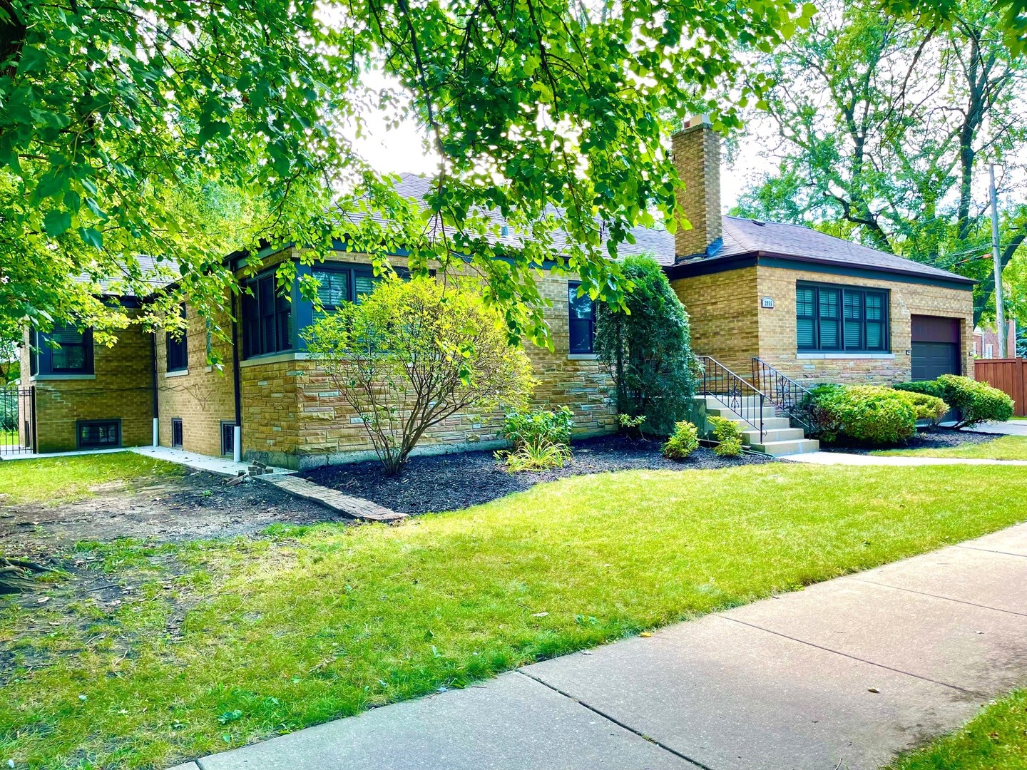 a view of a back yard with a house and a large tree