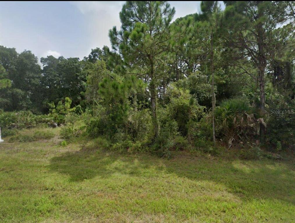 a view of a yard with a tree