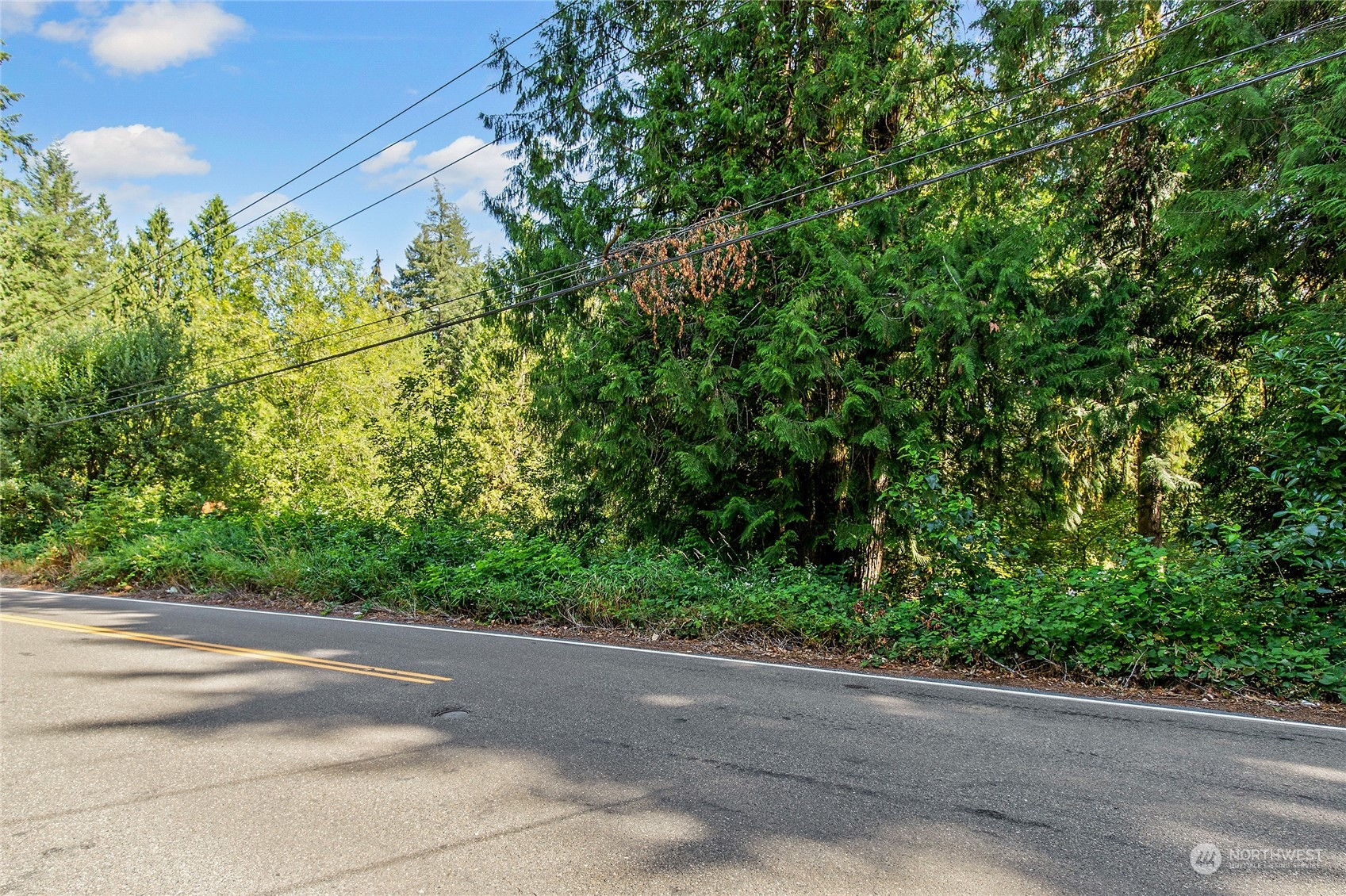 a view of a street from a tree