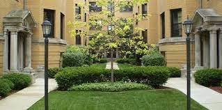 a view of a back yard of the house