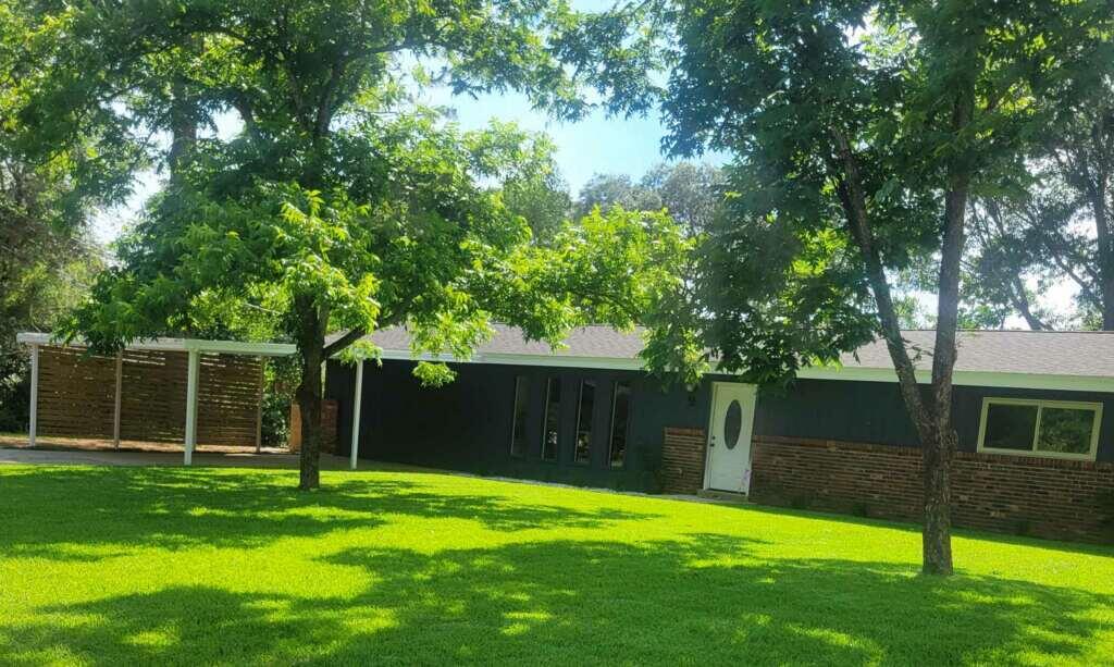 a view of a backyard with a large tree