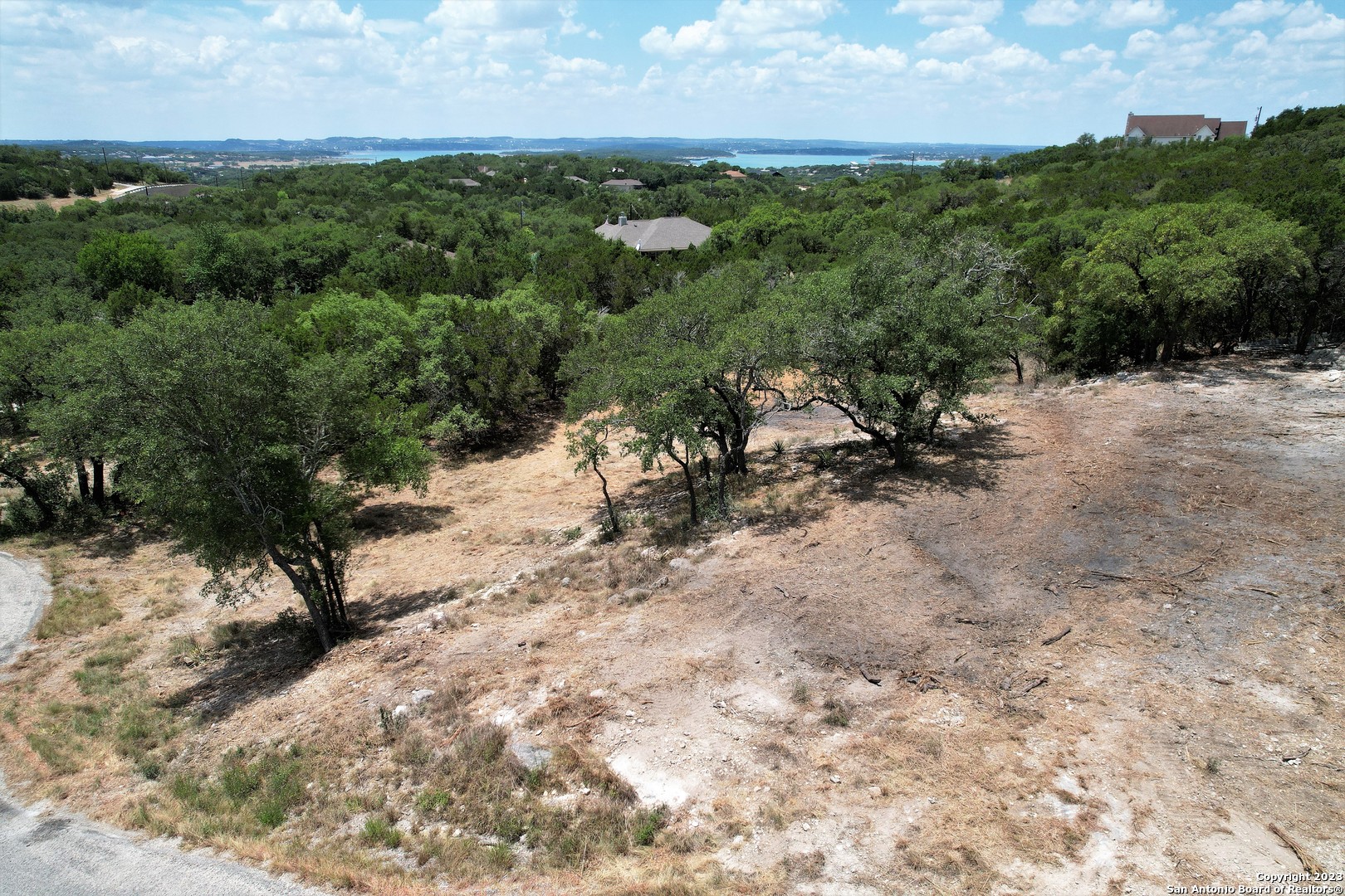 a view of a yard with a tree