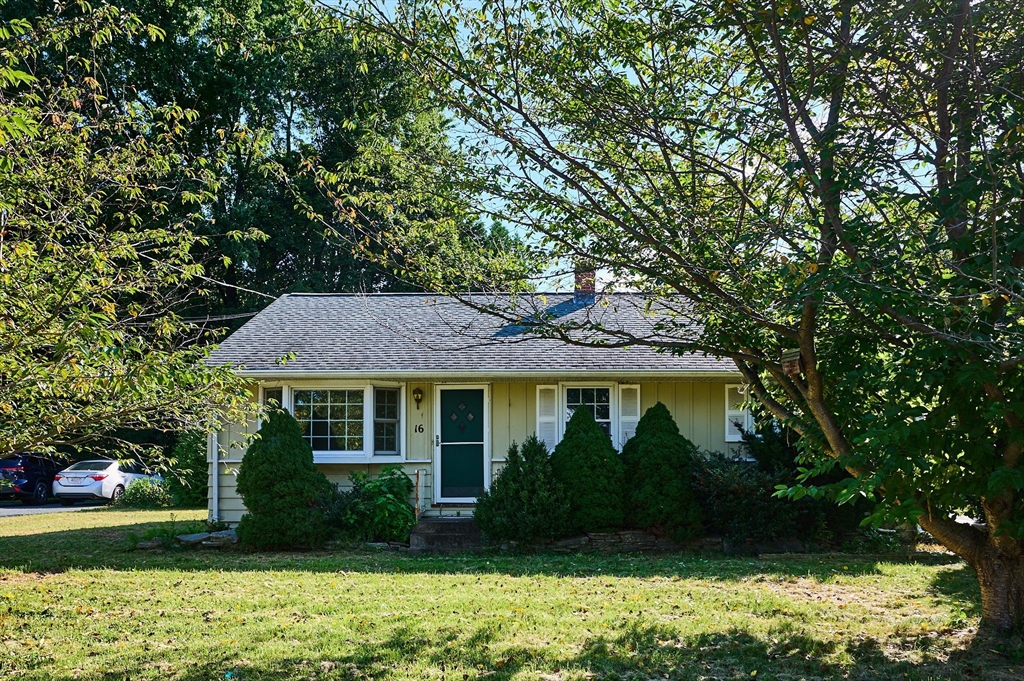 a front view of a house with a yard and green space