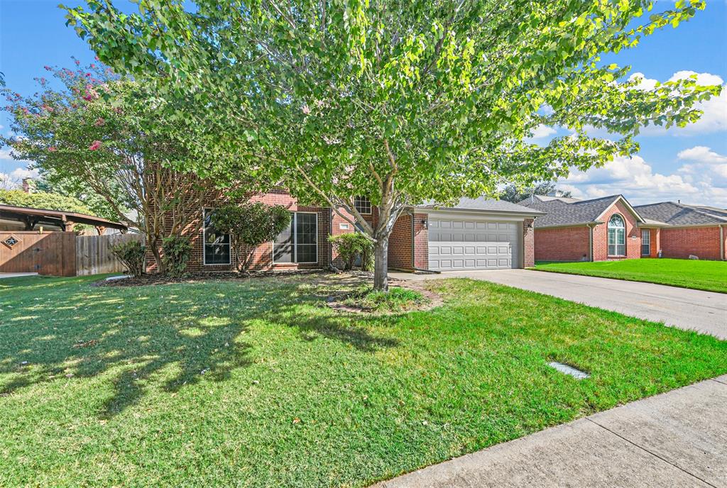 a front view of a house with a yard and a tree