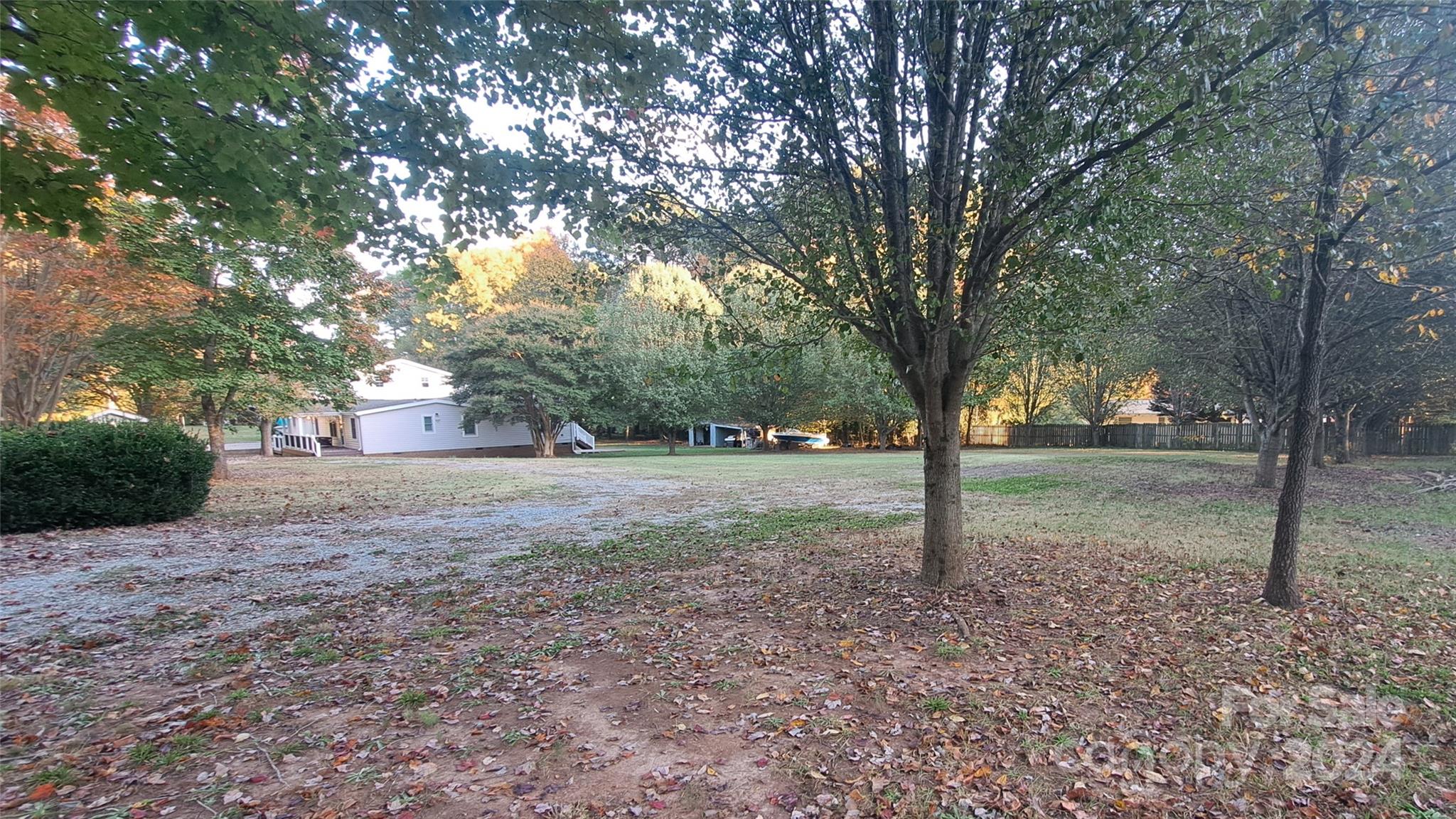 a view of a tree in the middle of a yard