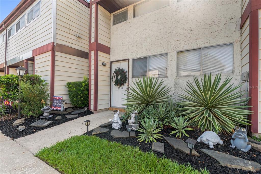 a view of a backyard with plants and palm tree