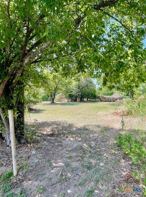 a view of a yard with a tree