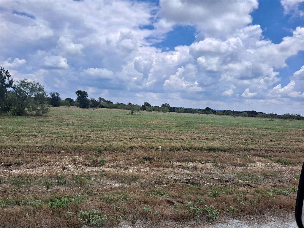 a view of a field with ocean and trees in the background