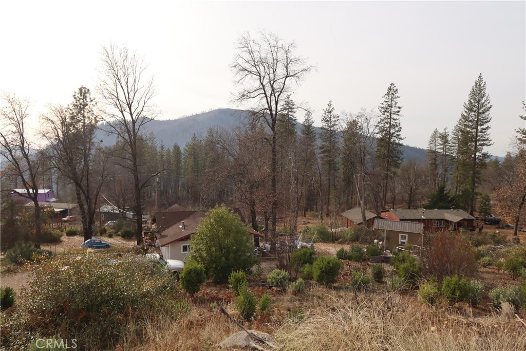 a view of outdoor space and trees