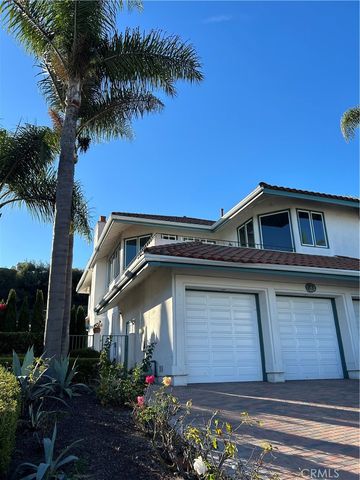 $11,000 | 23 Cantilena | North San Clemente