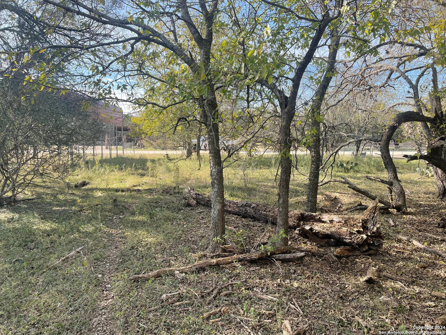 a view of backyard of tree