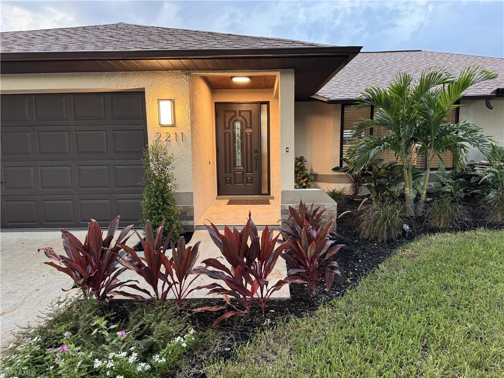 a potted plant in front of a house