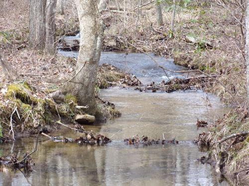 creek along side