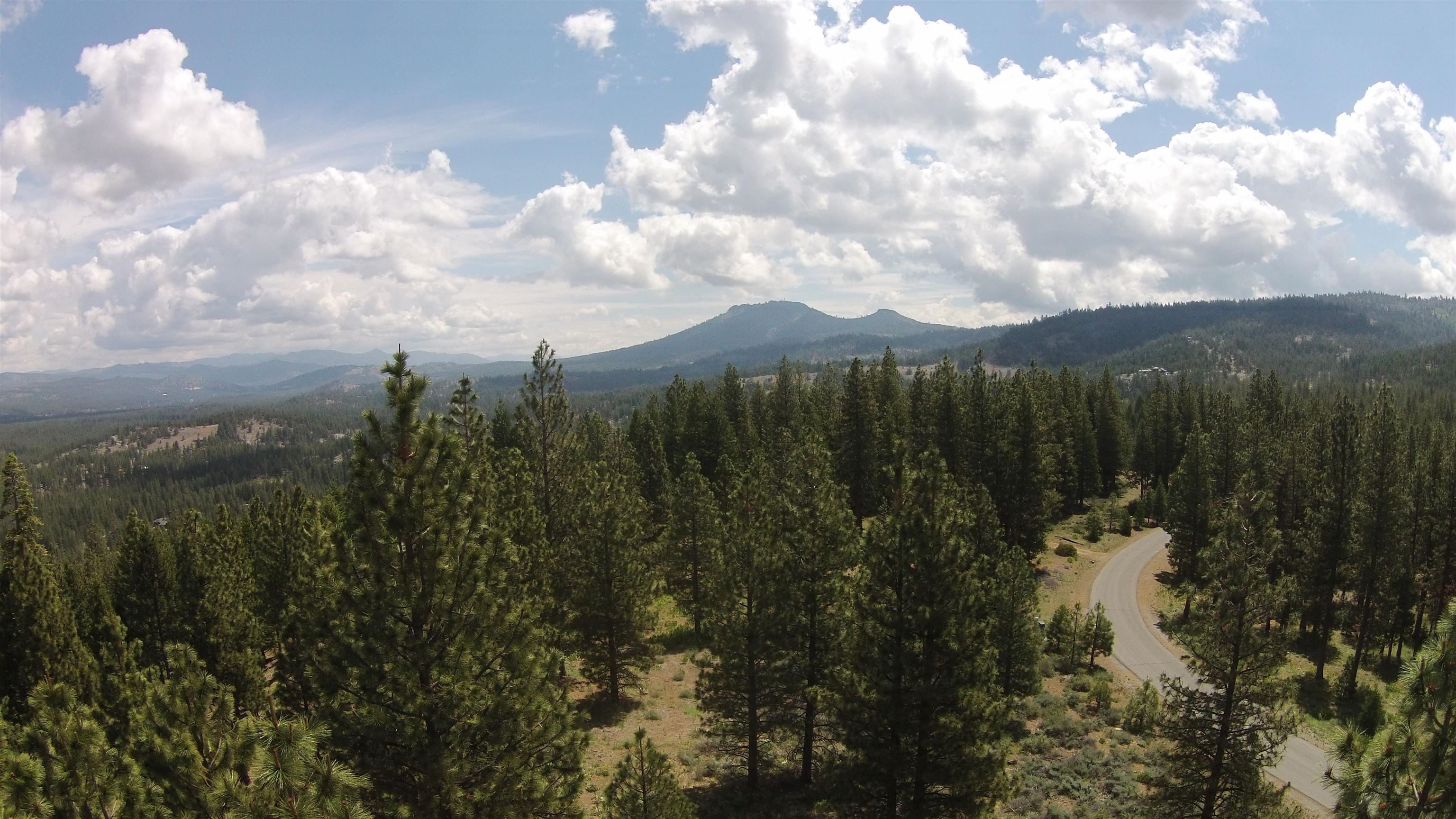 a view of a lake in middle of forest