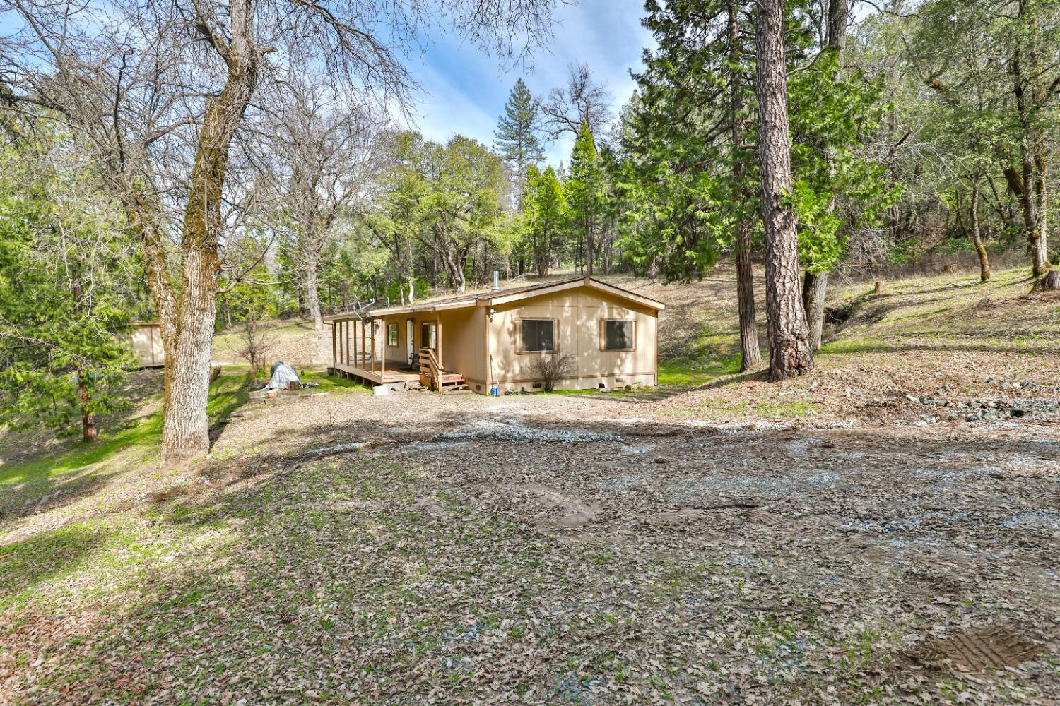 a view of backyard of house