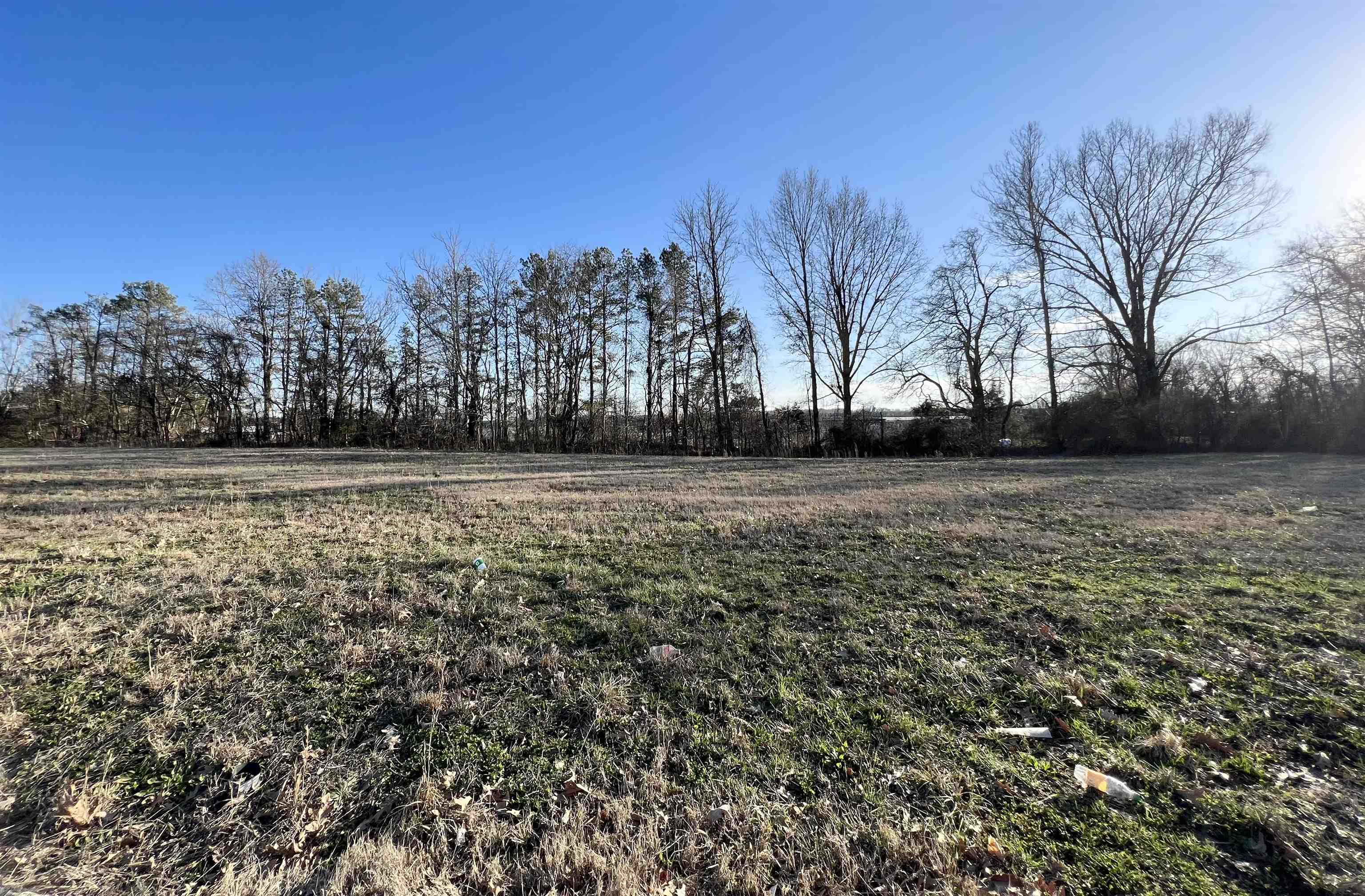 a view of a field with trees in the background