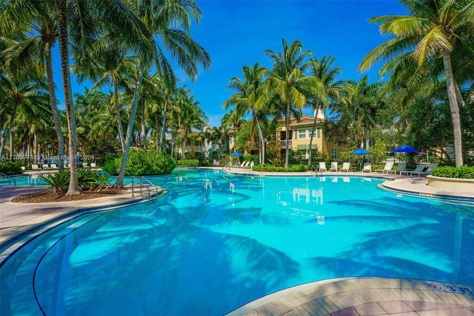 a view of a swimming pool with a garden