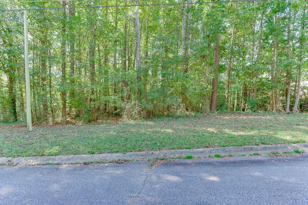 a view of a yard with plants and trees